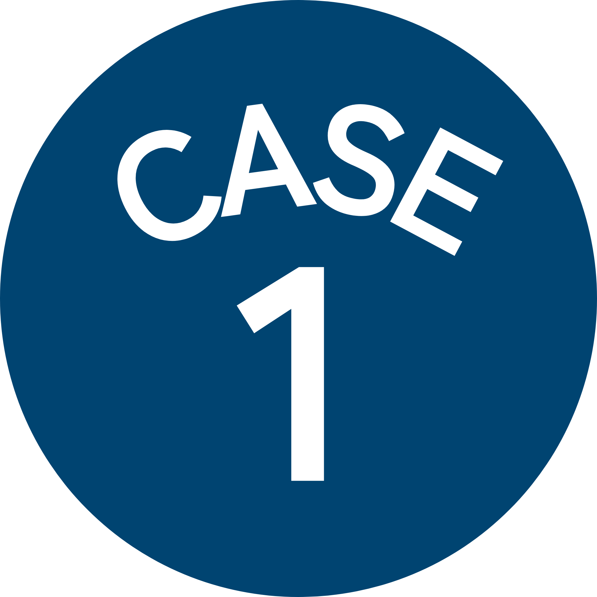 case1